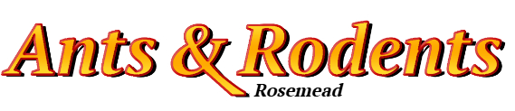 Rosemead Ant Exterminator & Rodent Control Company Logo